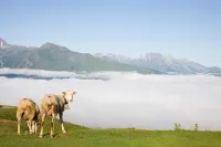 Le Viscos Hotels in Cauterets