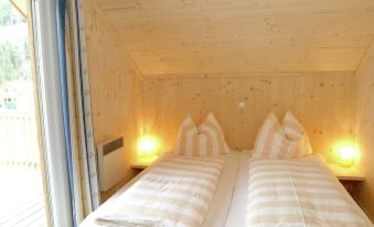 Chalet Stadl an der Mur Near Ski Slopes