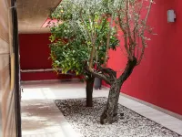 Villa Magnolia Hotels near CIRAD