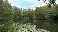 Warren Wood Country Park