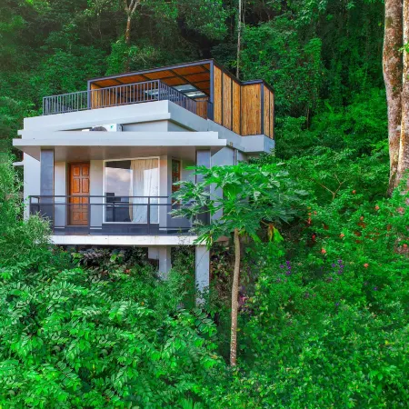Maram Resort Mamalakandam