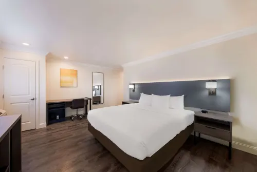 Comfort Inn Gilroy Hotels in Gilroy