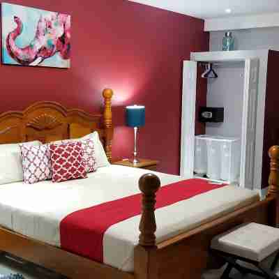 New Kingston Guest Apartments @ Donhead Rooms