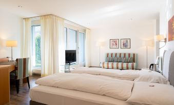 Hotel Schatzmann