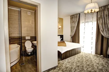 Pensiunea Poiana Viselor Отели в г. Holbav