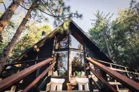 The Dusk House - An Idyllwild A-Frame