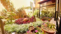 Arequipa Inn