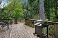 Rustic River Paradise Hotels in Baring
