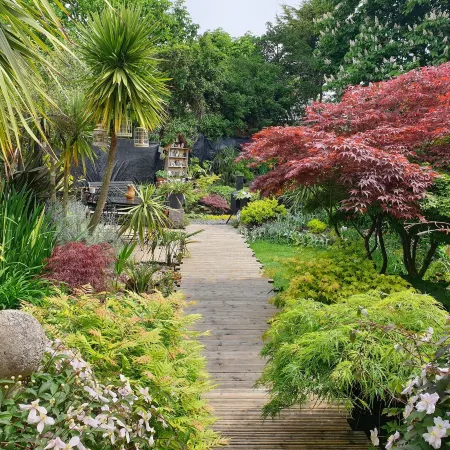 Tropical Garden Oasis Rooms