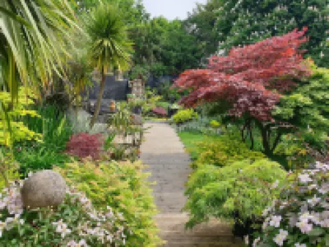 Tropical Garden Oasis Rooms Hotels near Star City