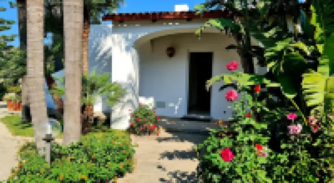 Cocos Park Ischia Hotels in 