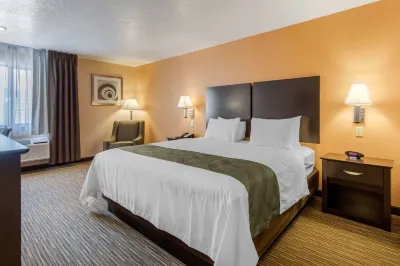 Quality Inn & Suites Albuquerque North near Balloon Fiesta Park Hotels in Rio Rancho