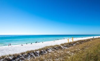 Summer Breeze 312 Condo