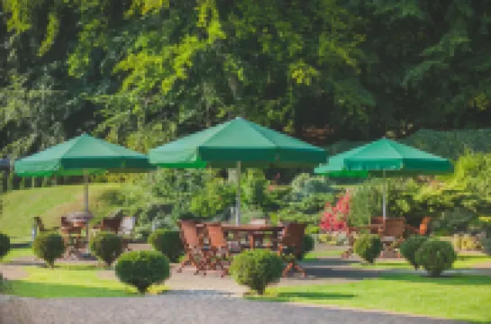 Hotel Villa Eva Hotels in 