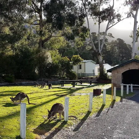 Breeze Holiday Parks - Halls Gap