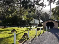 Breeze Holiday Parks - Halls Gap