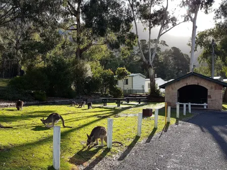 Breeze Holiday Parks - Halls Gap Отели в г. Холс Гэп