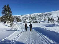 Skeikampen Booking - Alloggi