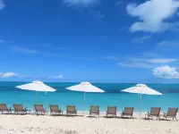 The White House TCI