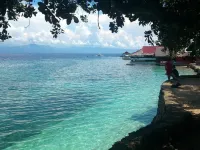 D´Gecko Hotel Hotels in Moalboal