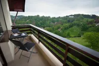Pensiunea Toscana - vue sur la montagne