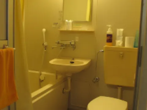 Hotel Platon Annex Green Plaza Hotels in Chikuma