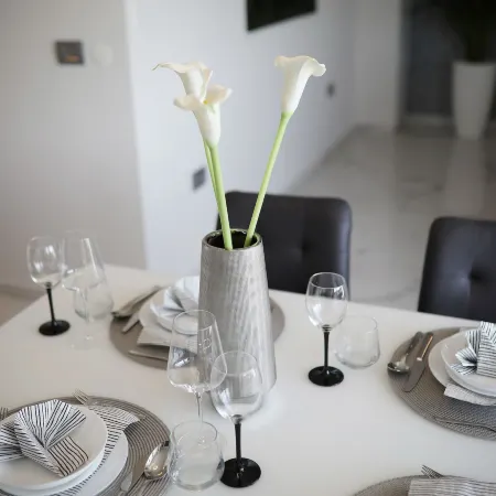 Luxury Majpruz Suites