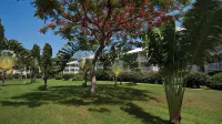 Le Domaine Anse Marcel Beach Resort Hotels in Grand Case