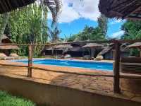 Honey Badger Lodge - Pools