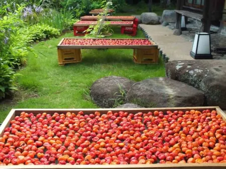 Ryokan Hanareya Ishidaya Отели рядом со станцией Кавазу Стейшн