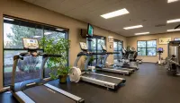 Running Y Resort - Gym