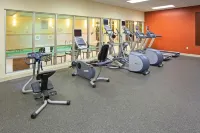 Hilton Garden Inn Naperville/Warrenville - Gym