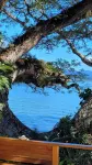 Sau Bay Resort & Spa - Ocean View