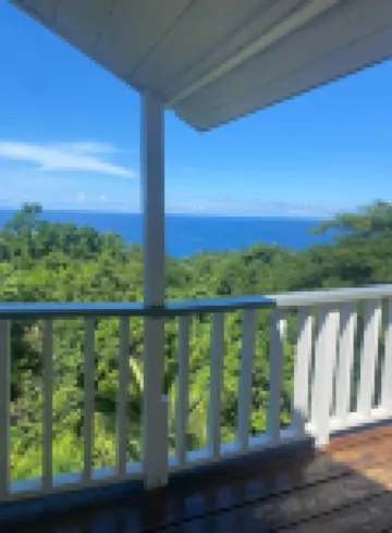 LF Jungle Retreat