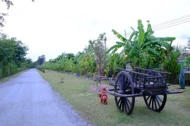 รูปภาพของพีที เฮ้าส์ รีสอร์ต