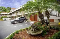 Hotel South Tampa & Suites - Parkplatz