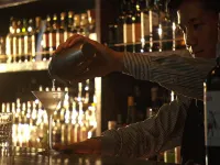 Kyoto Station Hot Spring & Hotel - Hatoya Zuihokaku - bar
