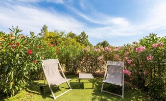 Résidence Pierre & Vacances Premium les Terrasses d'Arsella
