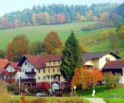 Hotel Gasthof Zur Krone Hotels in Finkenbach