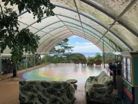 Dragonfly Ranch Hotels in Captain Cook