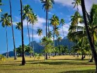 MOOREA - O Motu