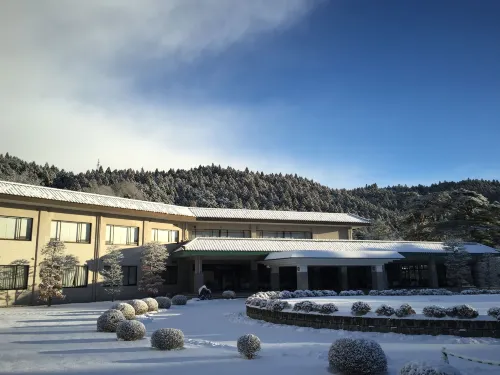 Nikko Toshogu Koyoen