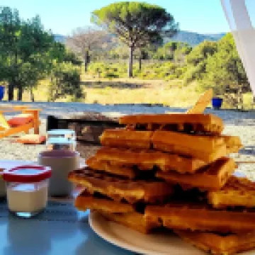 Le Mas du Rouquan - Homestays