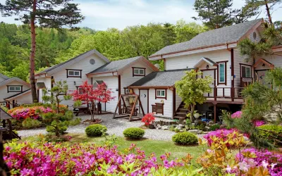 처음처럼펜션 이효석 문화마을 주변 호텔