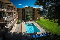 Mountain Chalet Snowmass Hotels in Pitkin County