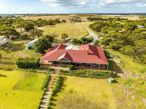 Condor Estate Spacious with Vineyard & Fireplace - Homestays