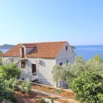 Apartments Bacic - Pet friendly