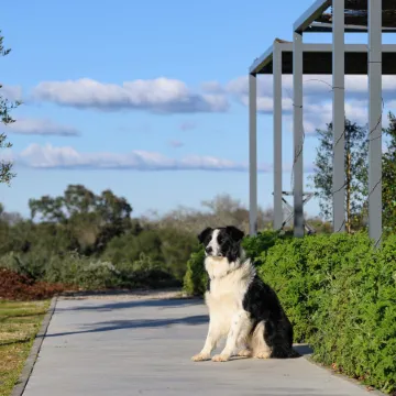 Quinta da Amendoeira - the Farmhouse