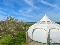 Stargazer Tent 2