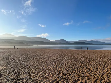 Luxurious House With Large Enclosed Woodland Garden In Cairngorm National Park Отели рядом с достопримечательностью «Лох Гартен»